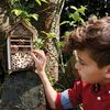 Scout Insektenhotel 9,5x16x28 cm Holz