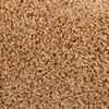 vidaXL Stufenmatten 20 Stk. 65x21x4 cm Beige Halbrund Gro&szlig;