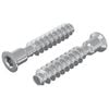 vidaXL Kopfschraube 2 stk. Silber M7 x 40 mm Stahl