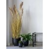House Nordic K&uuml;nstliches Gras Sorghum 110 cm Natur