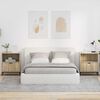 vidaXL Nachttische 2 pcs Sonoma-Eiche 49 x 36 x 61 cm Holzwerkstoff