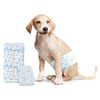 vidaXL Einweg-Hundewindel f&uuml;r R&uuml;den 30 pcs Wei&szlig; M