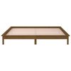 vidaXL Massivholzbett mit LED-Beleuchtung Honigbraun 120x200 cm