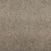 vidaXL Fu&szlig;matte Beige und Schwarz 120 x 400 cm Polypropylen und Vinyl