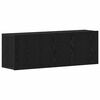 vidaXL TV-Schr&auml;nke 2 Stk. Schwarze Eiche 120 x 30 x 41 cm Holzwerkstoff
