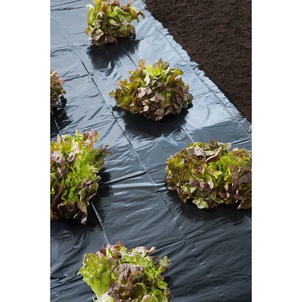 Nature Abdeckfolie 3x4 m 150&micro; Schwarz