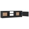vidaXL TV-Schrank Grau 120&times;30&times;35,5 cm Holzwerkstoff