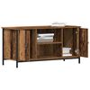 vidaXL TV-Schr&auml;nk Altholz 100 x 40 x 50 cm Holzwerkstoff