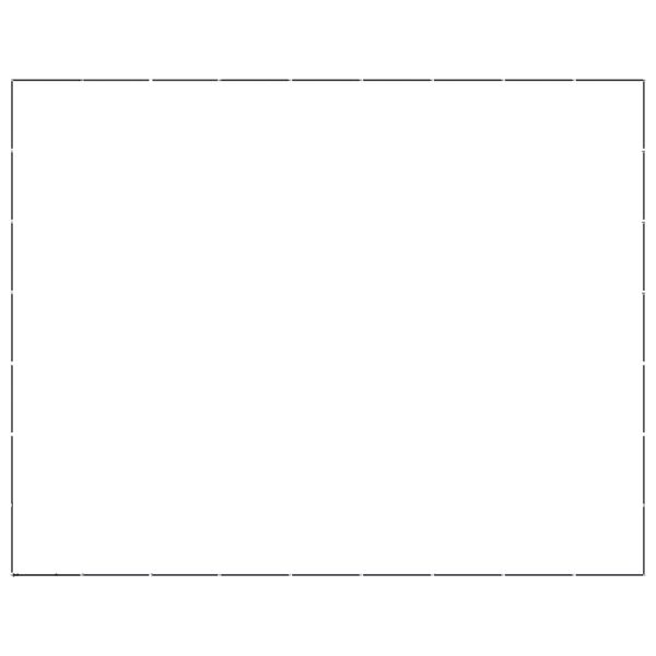 vidaXL Outdoor-Hundezwinger Stahl 58,06 m&sup2;