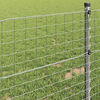 vidaXL Eurozaun 1,4 x 10 m PVC-beschichtetes Eisen