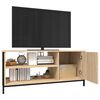 vidaXL TV-Schrank Sonoma-Eiche 100x40x45 cm Holzwerkstoff
