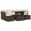 Brown_and_white