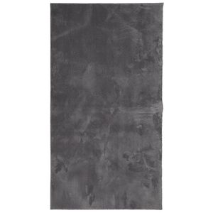 vidaXL Teppich HUARTE Kurzflor Weich und Waschbar Anthrazit 60x110 cm