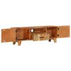 vidaXL TV-Schrank Handgeschnitzt 120x30x40 cm Altholz Massiv