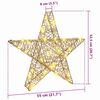 vidaXL 3D Stern mit 50 LEDs Warmwei&szlig; 55 x 52,5 x 9 cm PET