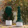 vidaXL Winterschutz fur Pflanzen Gr&uuml;n 20 x 1,6 m Vliesstoff