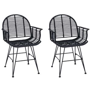 vidaXL Esszimmerstuhl 2 pcs Schwarz 44 x 44 x 74 cm Rattan und Eisen