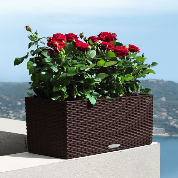 LECHUZA Pflanzgef&auml;&szlig; BALCONERA Cottage 50 ALL-IN-ONE Mokka