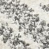 vidaXL Berberteppich Hochflor PP Beige und Grau 160&times;230 cm