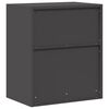 vidaXL Aufbewahrungsschrank Schwarz 60 x 40 x 70 cm Stahl