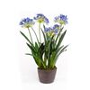 Emerald K&uuml;nstlicher Agapanthus Schmucklilie 75 cm Blau