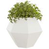 Produkt-Miniaturbild 3 von 10