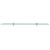 vidaXL Schwebendes Regal Glas 100x20 cm 8 mm