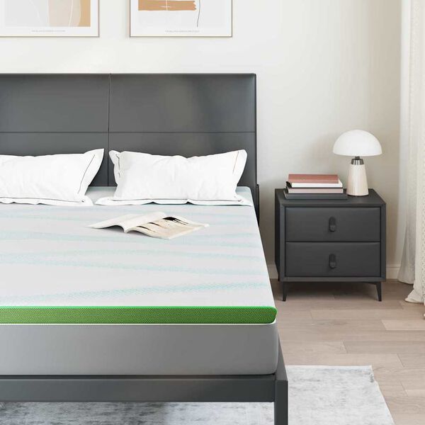 vidaXL Matratzenauflage Wei&szlig; und Gr&uuml;n 160 x 200 cm Jacquard Stoff