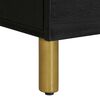 vidaXL Nachttische 2 Stk. Schwarz 40x33x46 cm Massivholz Mango