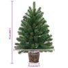vidaXL K&uuml;nstlicher Weihnachtsbaum mit 150 LEDs Gr&uuml;n 75 cm PE und PVC