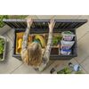 Keter Gartentruhe Darwin 570 L Grau