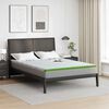 vidaXL Matratzenauflage Wei&szlig; und Gr&uuml;n 160 x 200 cm Jacquard Stoff