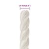 vidaXL Arbeitsseil Wei&szlig; 20 mm 100 m Polypropylen