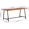 vidaXL Esstisch 160x80x75 cm Massivholz Mango