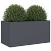 vidaXL Pflanzk&uuml;bel Anthrazit 62x30x29 cm Stahl