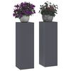 vidaXL Pflanzenst&auml;nder 2 pcs Anthrazit 24 x 24 x 75 cm Stahl