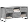 vidaXL TV-Schr&auml;nk Graues Sonoma 100 x 36 x 49,5 cm Holzwerkstoff