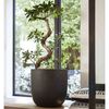 Capi Pflanzgef&auml;&szlig; Urban Smooth Rund 35x34 cm Schwarz KBL932