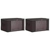 vidaXL Aufbewahrungsbox mit transparentem Seitenfenster 2 pcs