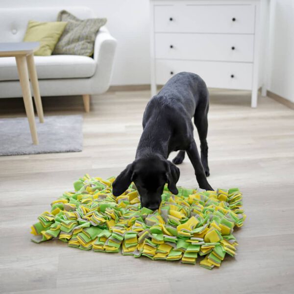 Kerbl Schn&uuml;ffelteppich f&uuml;r Hunde 70x50 cm