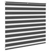 vidaXL Doppelrollo Schwarz 165x100 cm Stoffbreite 160,9 cm Polyester