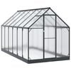 vidaXL Garten Gew&auml;chshaus mit T&uuml;r Anthrazit 183,5 x 363,5 x 207 cm