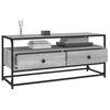 vidaXL TV-Schrank Grau Sonoma 100x35x45 cm Holzwerkstoff