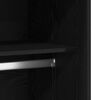 vidaXL Kleiderschrank Schwarz Eichen-Optik 100 x 50 x 200 cm