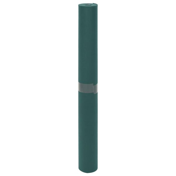 vidaXL Wintervlies 2 Rollen 70 g/m&sup2; 10x1,6 m