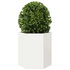 Produkt-Miniaturbild 5 von 13