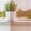 vidaXL Voile Vorh&auml;nge mit &Ouml;sen 2 Stk. Terrakotta