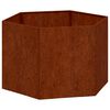 vidaXL Pflanzk&uuml;bel Rostig 60x60x45 cm Cortenstahl