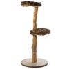 Designed by Lotte Kratzbaum aus Holz JAZZ