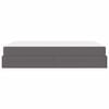 vidaXL Bettgestell mit Matratze mit Matratze 2 pcs Grau PVC